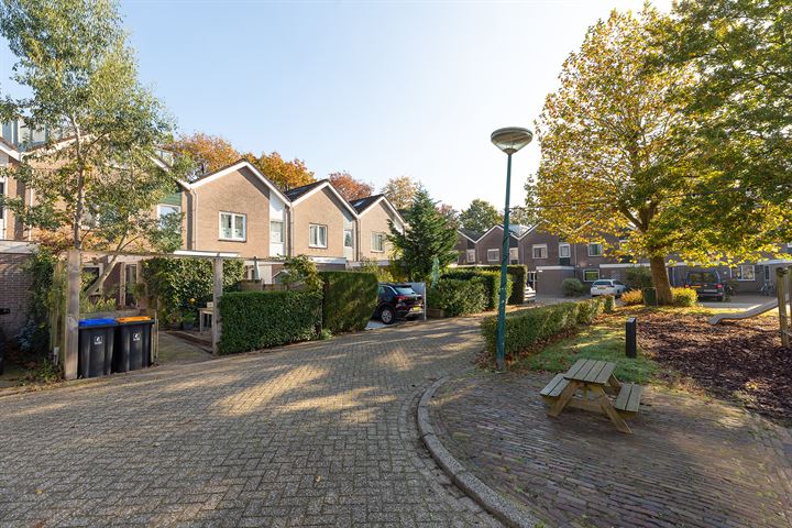 Wallestein 74 in Loenen aan de Vecht foto
