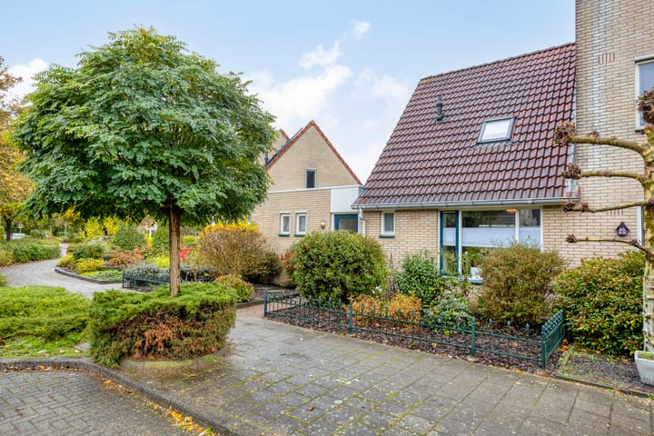 Wanyng 7 in Goor foto