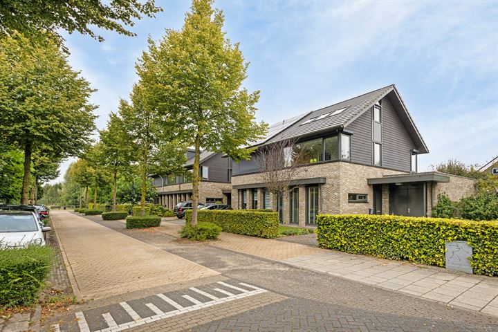 Wapenschouw 2 in Huissen foto