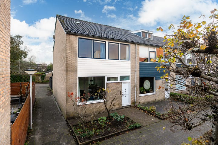 Waterbies 30 in Leeuwarden