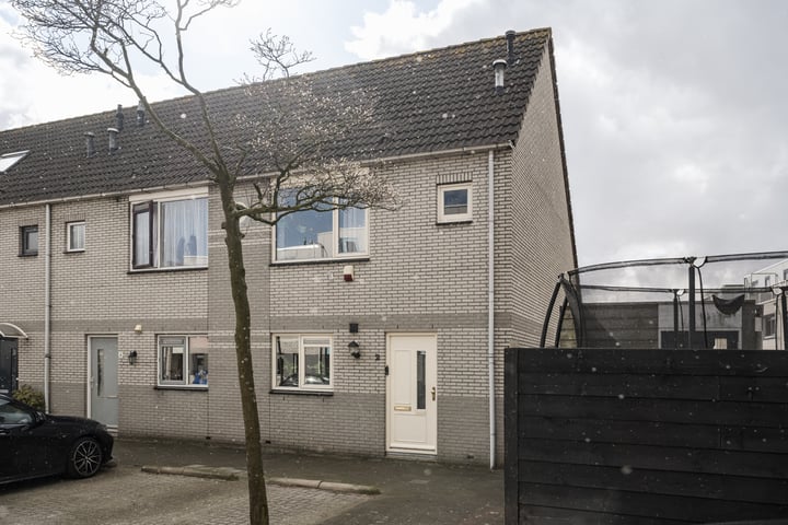 Waterdrieblad 2 in Velserbroek foto