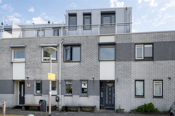 Waterdrieblad 29 in Velserbroek foto