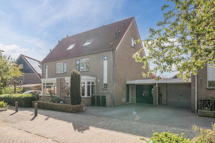 Waterdrieblad 47 in Oudkarspel foto