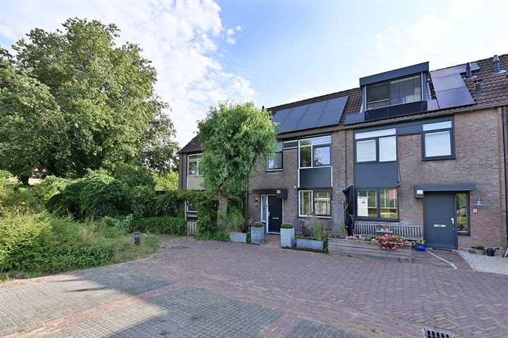 Waterhoen 4 in Muiderberg foto