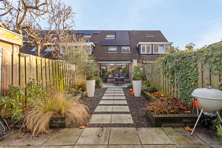 Waterhoen 4 in Oud-Beijerland foto