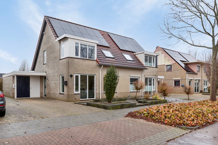 Waterlelie 11 in Scheemda foto
