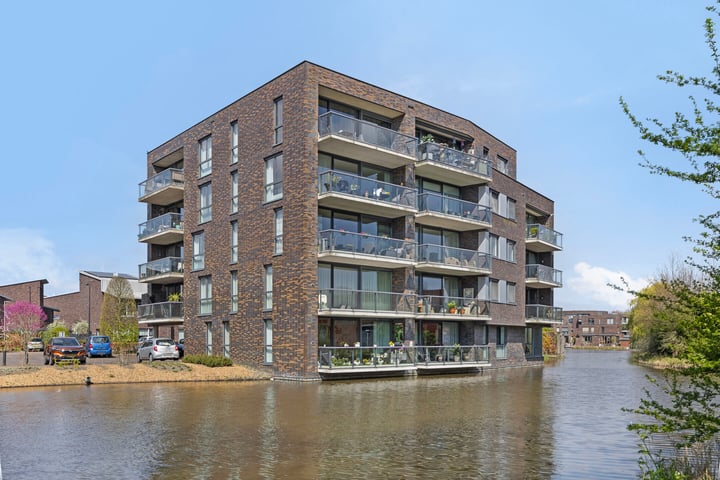 Waterlelie 152 in Roelofarendsveen foto