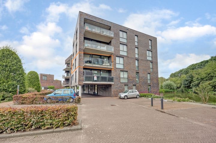 Waterlelie 162 in Roelofarendsveen foto