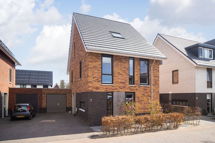 Waterlelie 7 in Veenendaal foto