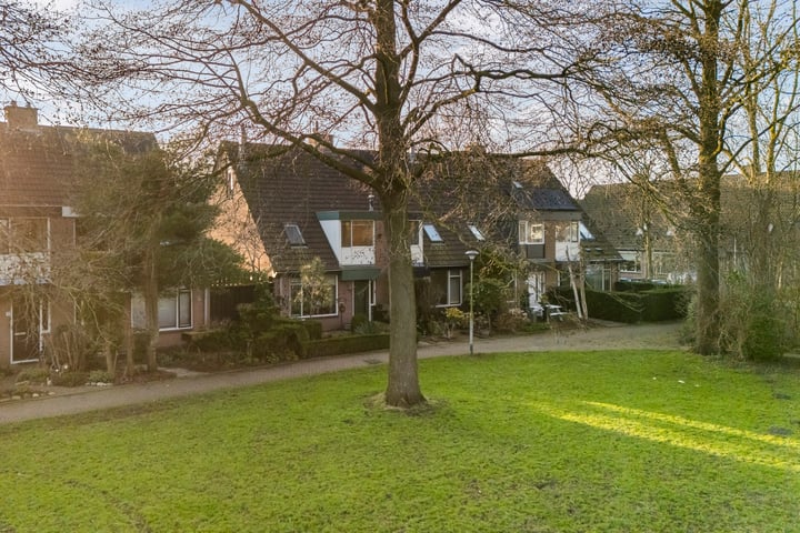 Watermunt 14 in Woubrugge foto