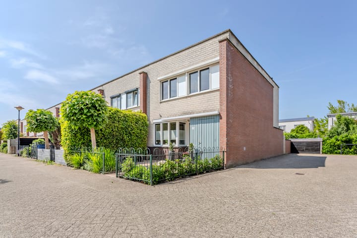 Waterscheerling 25 in Amersfoort foto
