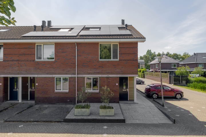 Waterviolier 1a in Schoonhoven foto