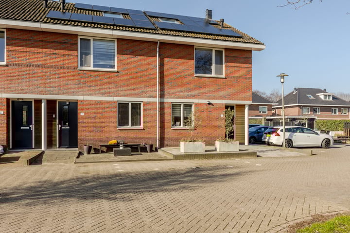 Waterviolier 1b in Schoonhoven foto