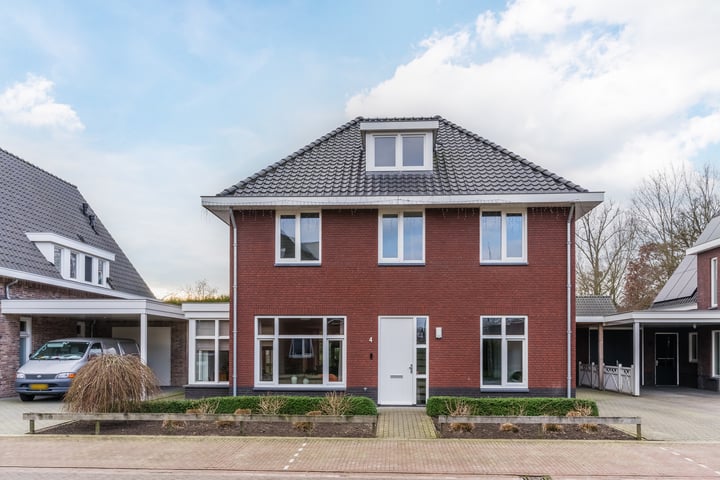 Waterwilg 4 in Sint-Oedenrode foto