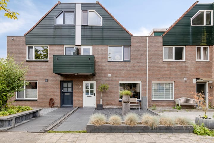Waterzwaluw 3 in Veenendaal foto