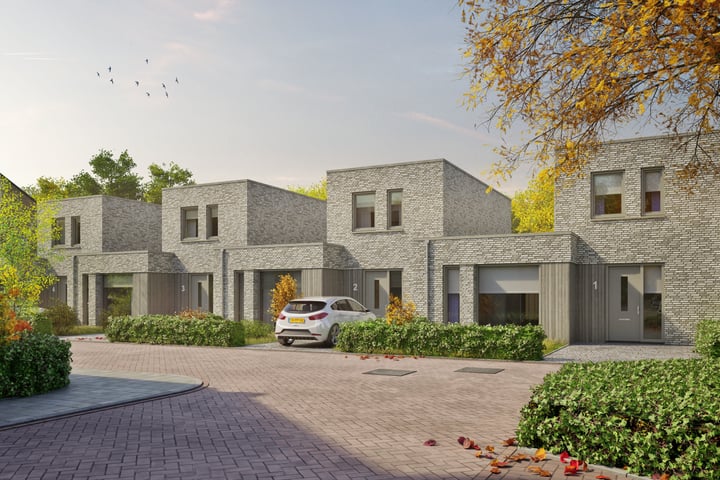 Weebosch 1 in Bergeijk foto