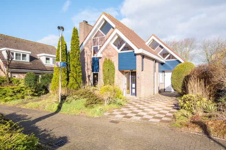 Weegbree 5 in Opmeer foto