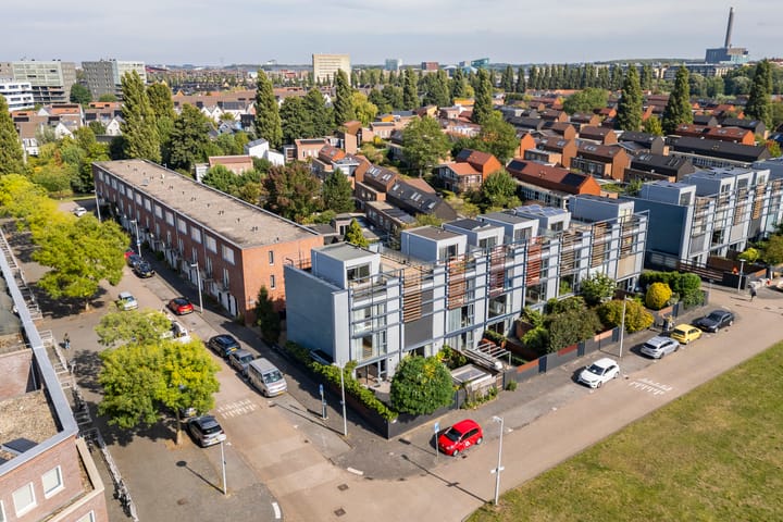 Weerschijnvlinder 1 in Utrecht