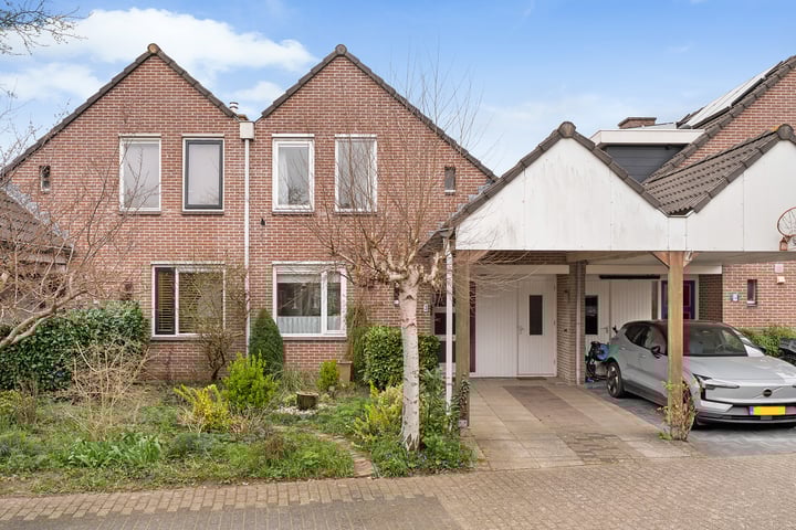 Weerschijnvlinder 3 in Zwolle foto