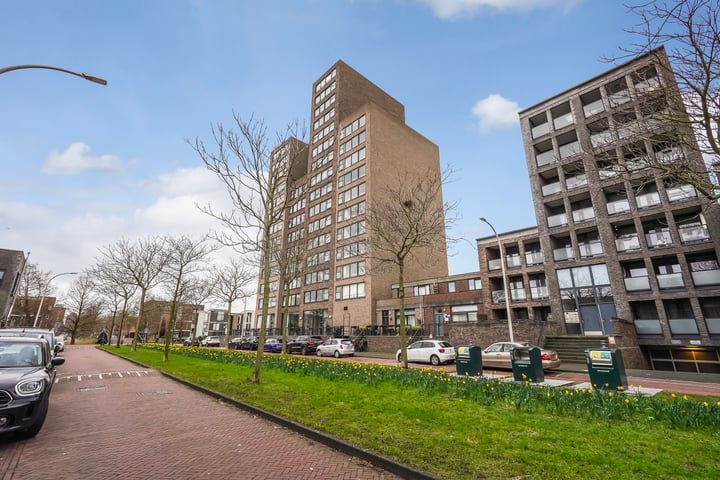 Weidevogellaan 164 in 's-Gravenhage foto