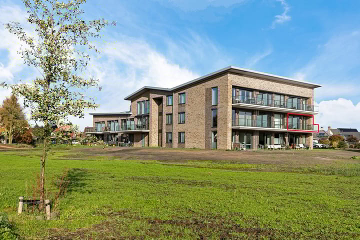 Weidewachter 25 in Hasselt foto