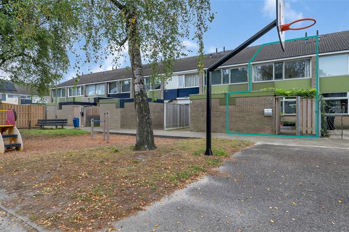 Weldam 5 in Almelo foto