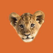 Logo van Welp Makelaardij