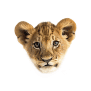 Logo Welp Makelaardij