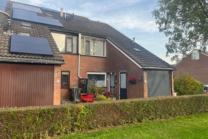 Westlander 69 in Schipluiden foto