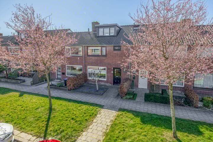 Wiekslag 8 in Heerjansdam foto