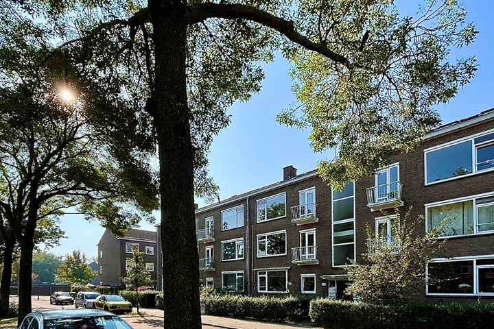 Wijnandt van Elststraat 70 in Rijswijk foto