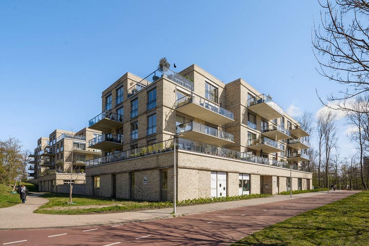 Wijndaelerweg 3T in 's-Gravenhage foto