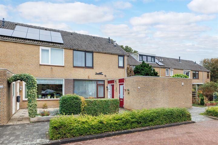 Wijngaard 164 in Lelystad foto