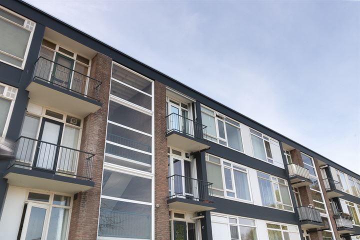 Wijnruitstraat 29 in Hoogvliet Rotterdam foto
