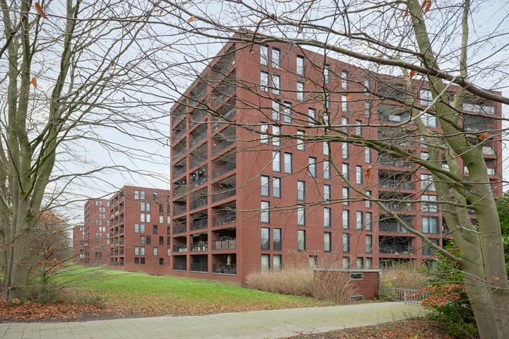 Wijnruitstraat 377 in Hoogvliet Rotterdam foto