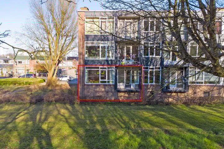 Wijnruitstraat 71 in Hoogvliet Rotterdam foto
