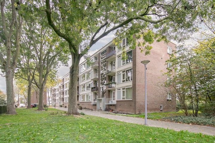 Wilbertoord 245 in Rotterdam foto