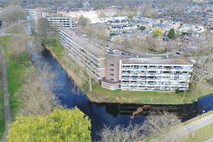 Wilde Wingerdlaan 221 in Gouda