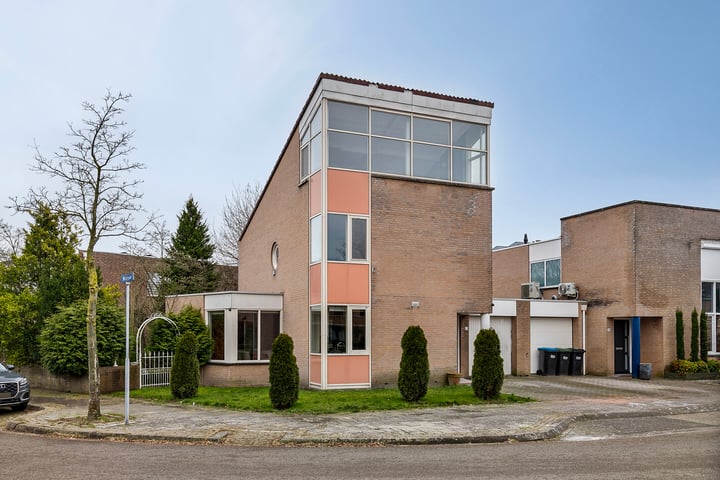 Wildeman 67 in Eindhoven foto