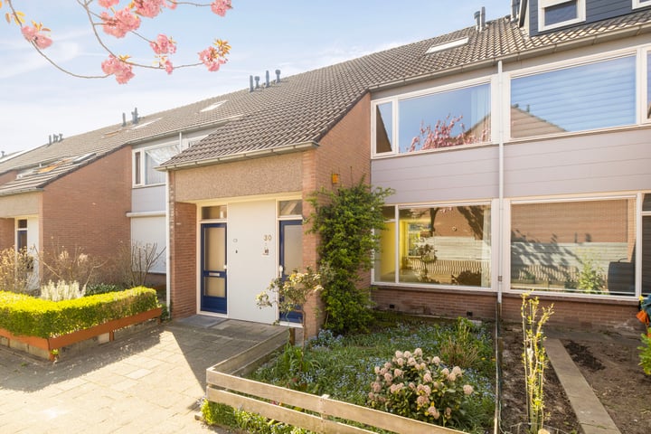 Wildforster 30 in Ede foto