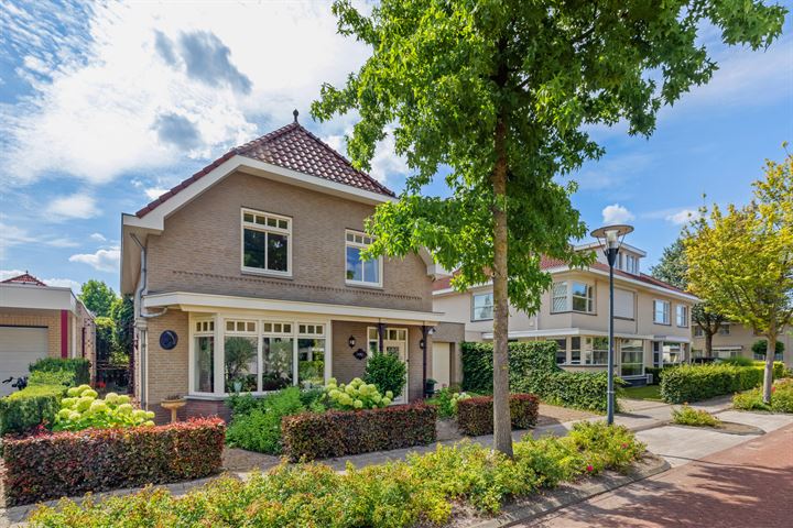 Wildwal 5 in Veldhoven foto