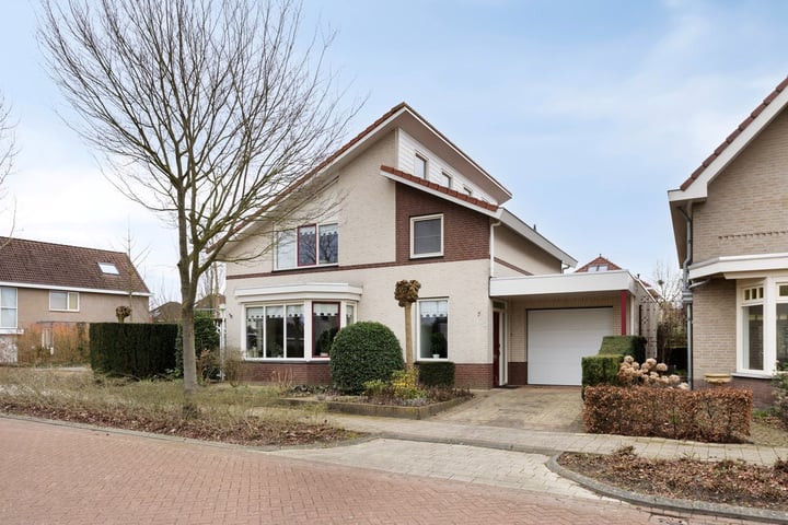 Wildwal 7 in Veldhoven foto