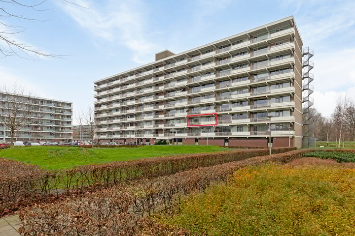Wilgenhorst 11 in Waddinxveen foto