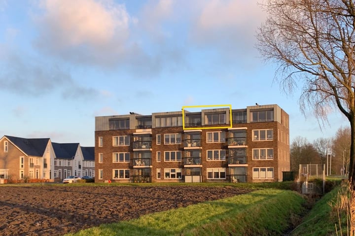 Wilgenroos 60 in Hazerswoude-Dorp foto