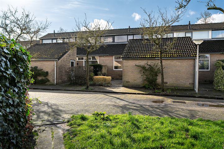Wilgenroosje 8 in Leeuwarden foto