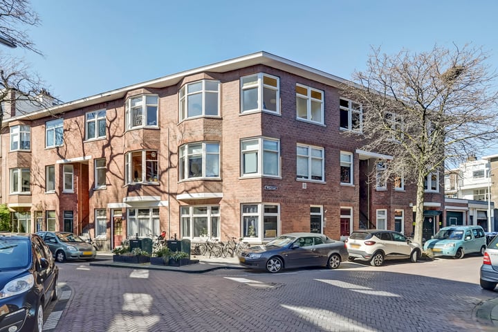 Wilgstraat 6 in 's-Gravenhage