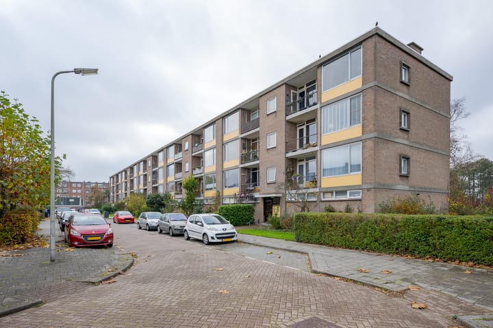 Willem de Rijkelaan 44 in Waddinxveen