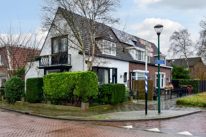 Willink van Collenstraat 76 in Breukelen foto