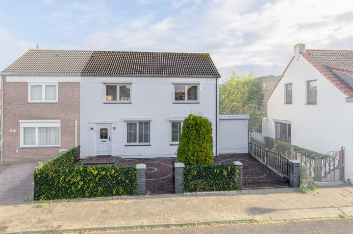 Windhond 13 in Tegelen