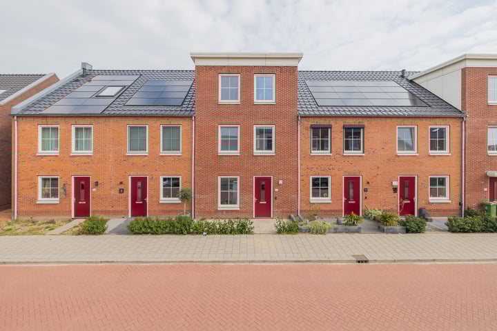 Windsor 50 in Zevenhuizen foto